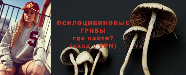 гидра Балабаново