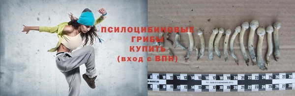 винт Баксан