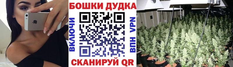 Шишки марихуана конопля  Тайга 